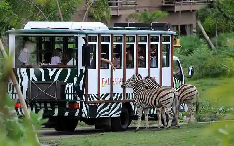 bali safari marine park bali safari marine park